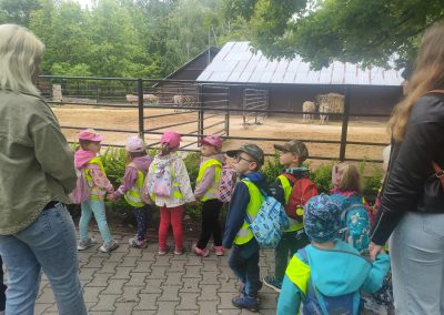 zoo (1)