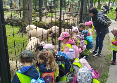 zoo (2)