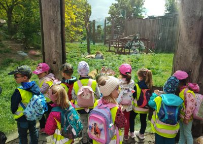 zoo (3)