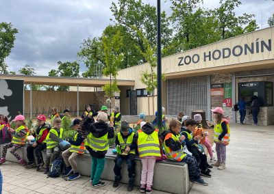 zoo (7)