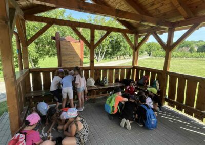 stazka za pokladem (3)