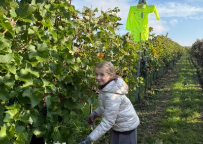 Učím se září (16)