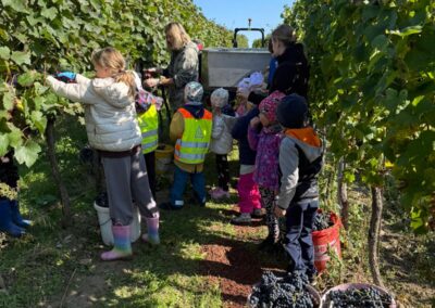 Učím se září (17)