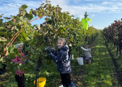 Učím se září (18)